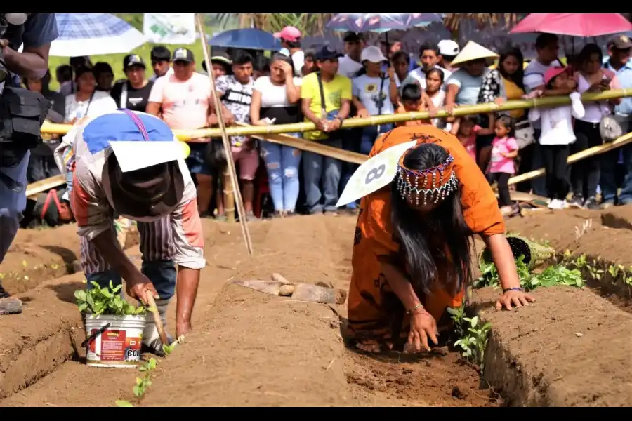 Imagen Aniversario De Creación Política De Pichari  Y   Festival Internacional De La Coca  -  Vrae - Imagen 6