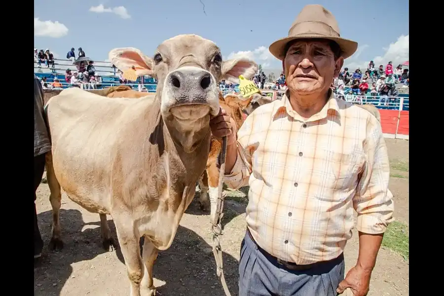 Imagen Feria Nacional Ganadera De Cuasimodo - Imagen 1