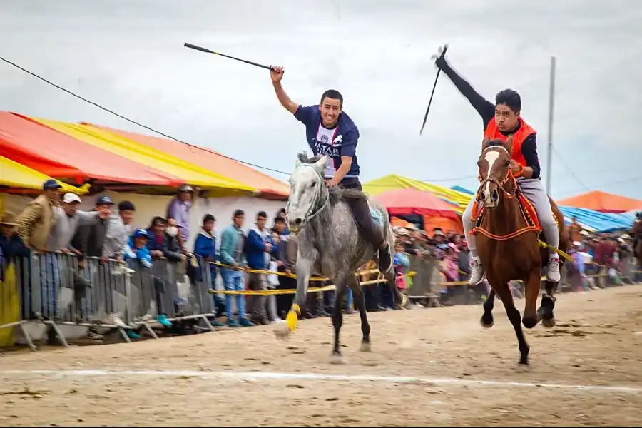 Imagen Feria Nacional Ganadera De Cuasimodo - Imagen 13