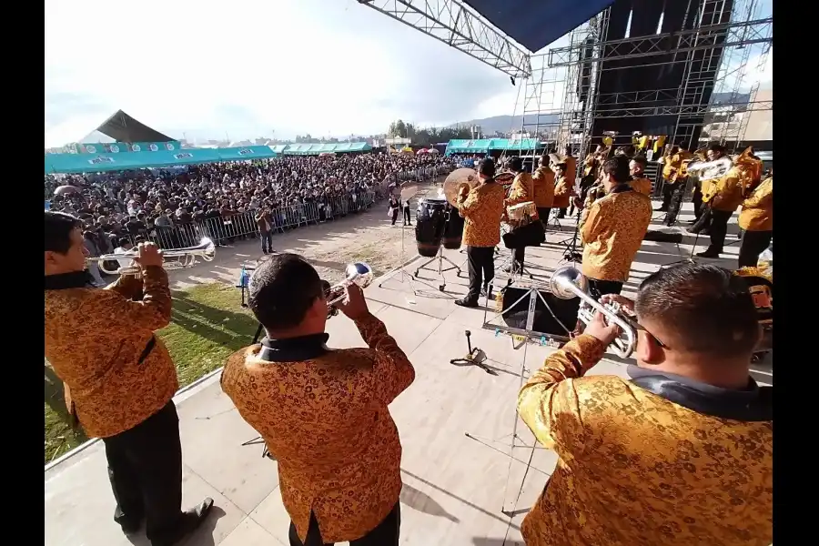 Imagen Feria Nacional Ganadera De Cuasimodo - Imagen 15