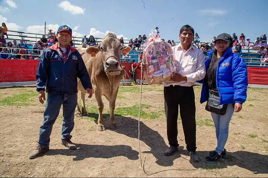 Imagen Feria Nacional Ganadera De Cuasimodo - Imagen 3