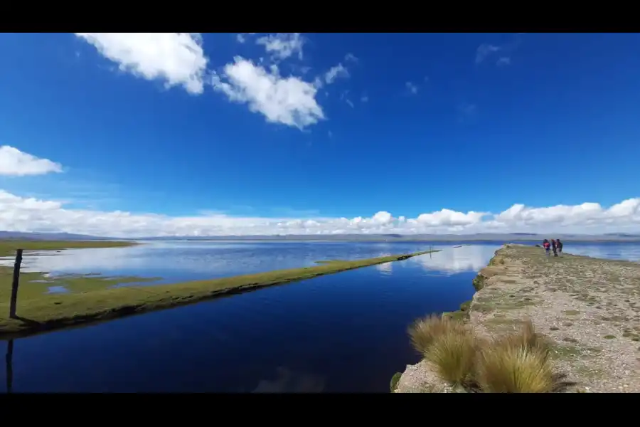 Imagen Lago De Junín - Imagen 10