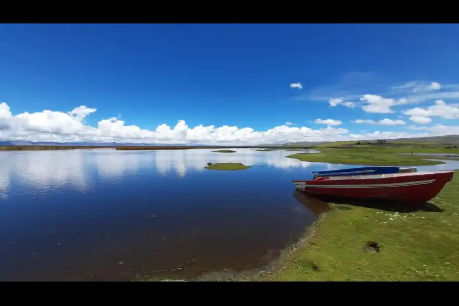 Imagen Lago De Junín - Imagen 3