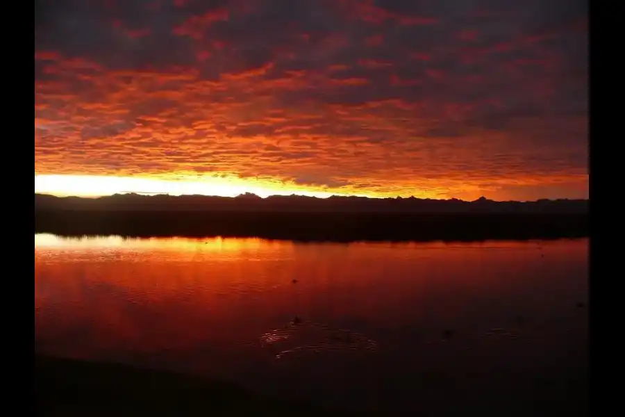 Imagen Lago De Junín - Imagen 6