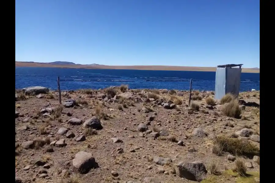 Imagen Lagunas De Yaurihuiri Y Tahuaccocha - Imagen 6