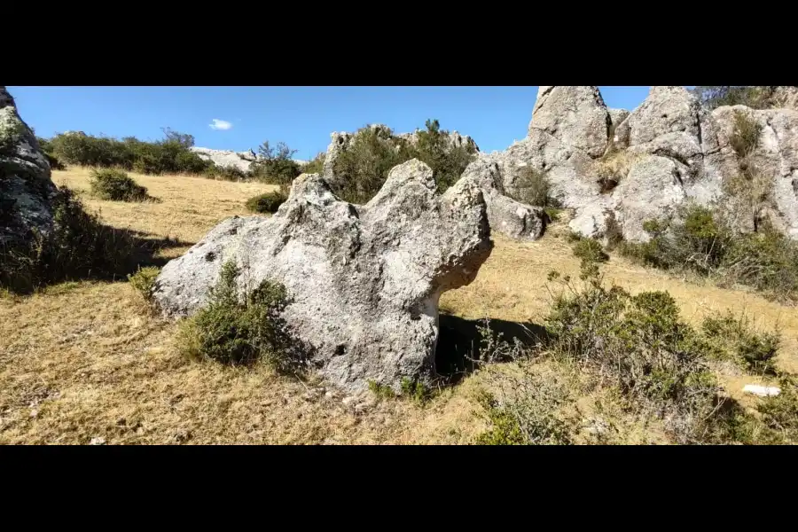 Imagen Bosque De Piedra De Estacionniyuq - Imagen 4