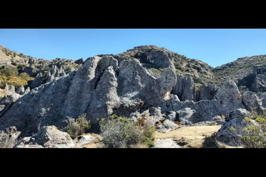 Imagen Bosque De Piedra De Estacionniyuq - Imagen 5