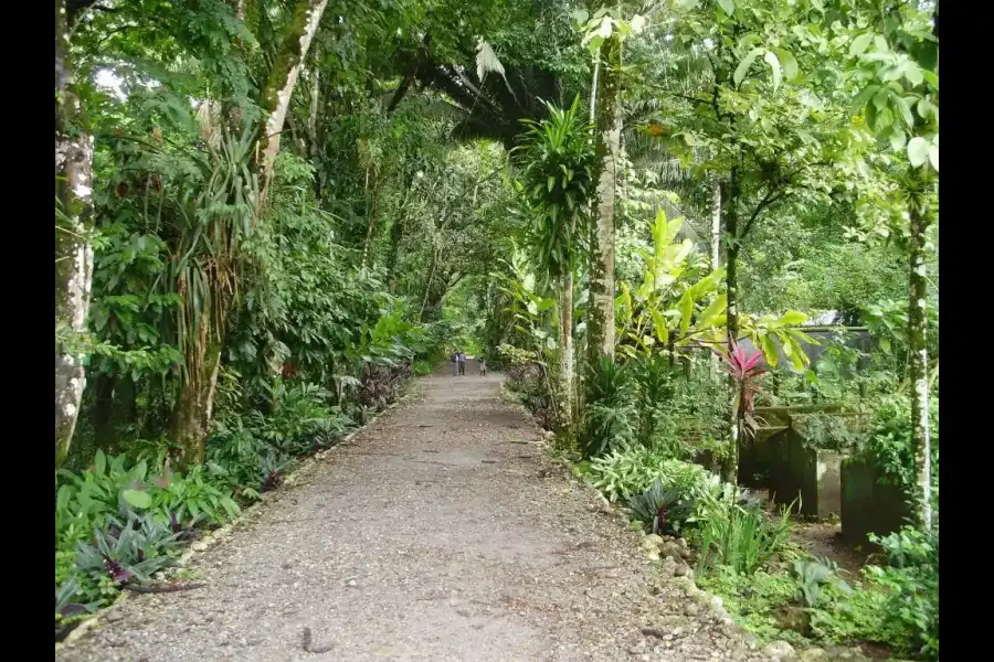 Imagen Jardín Botánico De La Universidad Nacional Agraria De La Selva - Imagen 1