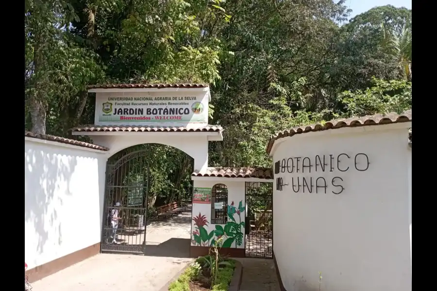 Imagen Jardín Botánico De La Universidad Nacional Agraria De La Selva - Imagen 4