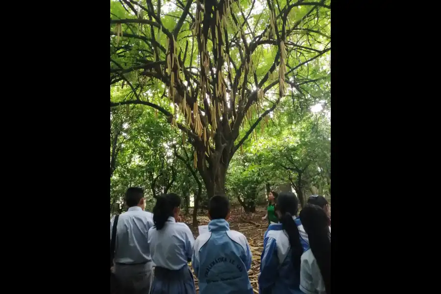 Imagen Jardín Botánico De La Universidad Nacional Agraria De La Selva - Imagen 5