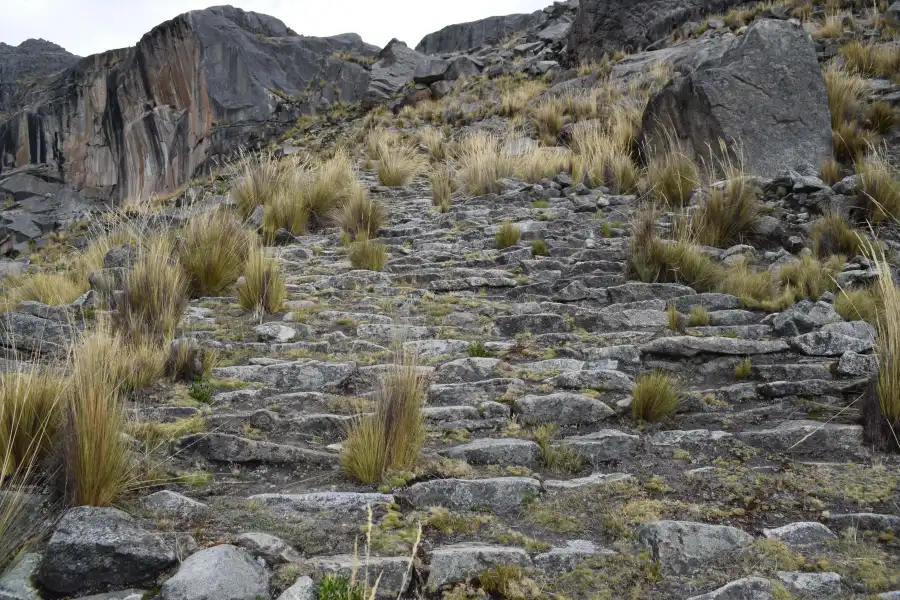 Imagen Escalerayoc De Tanta - Imagen 5