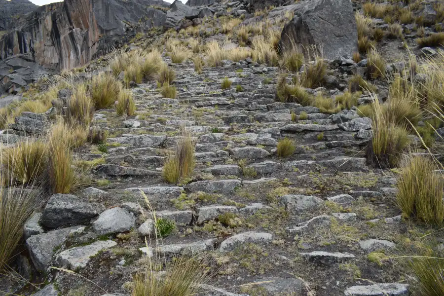 Imagen Escalerayoc De Tanta - Imagen 6