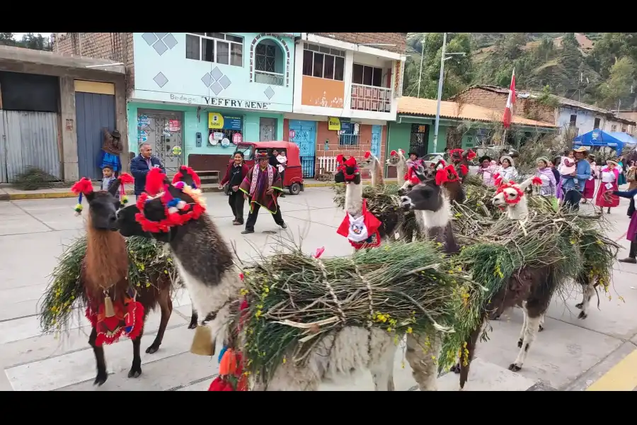 Imagen Fiesta Patronal Del Señor De Ricra – Vinchos Bajo - Imagen 1