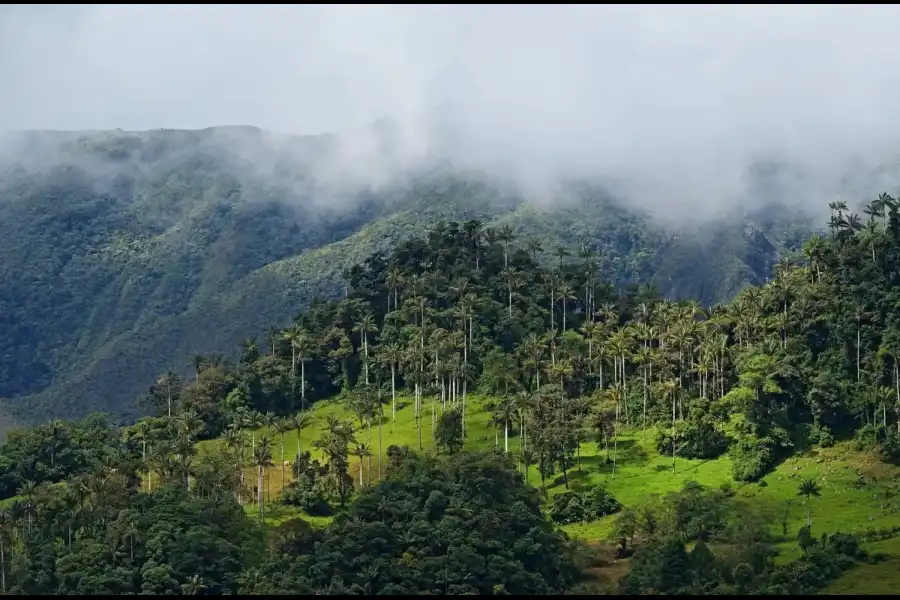 Imagen Parque Nacional Cutervo - Imagen 5