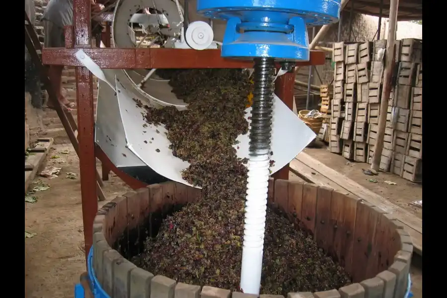 Imagen Bodega Peirano - Imagen 10