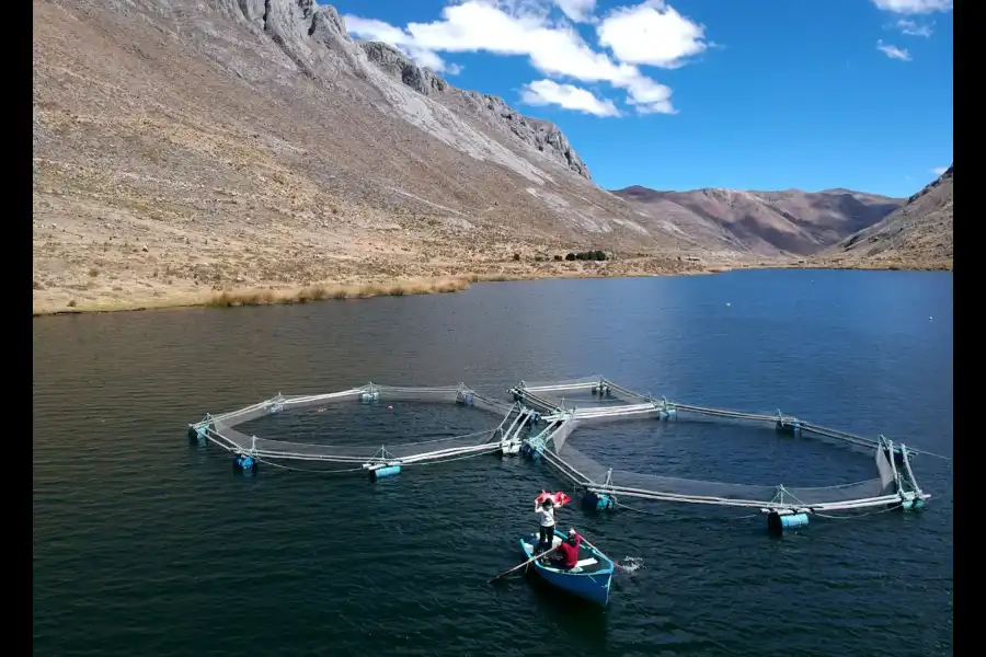 Imagen Laguna De Pumacocha - Laraos - Imagen 6