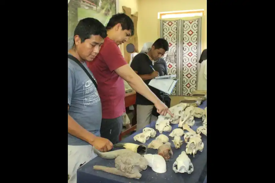 Imagen Museo Amazónico Jose Pió Aza De Koribeni - Imagen 4