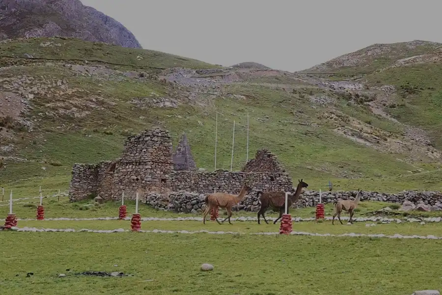 Imagen Campo De Batalla De Sangrar - Imagen 5