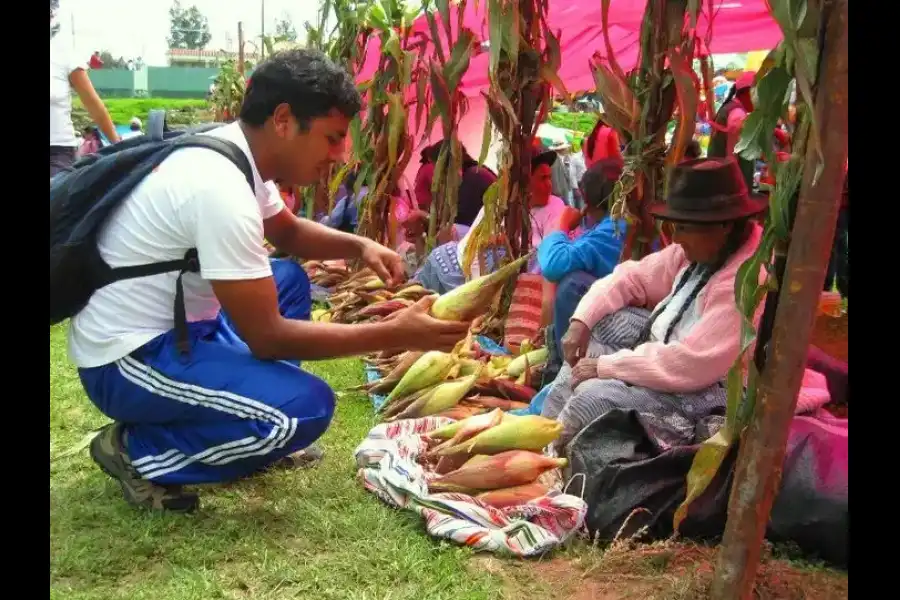 Imagen Festival Del Choclo Y La  Pachamanca - Imagen 4