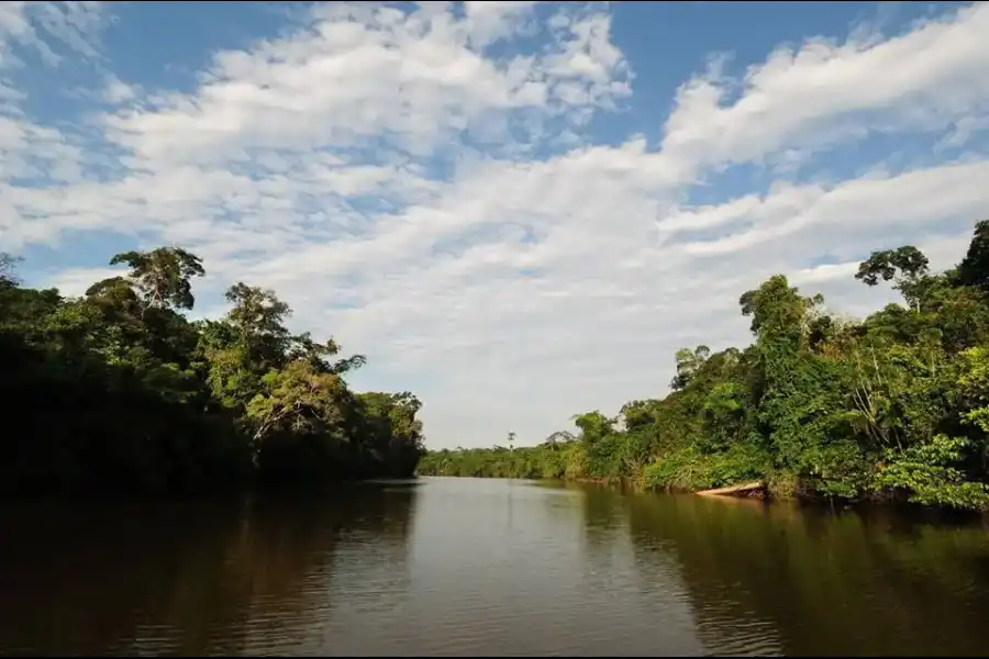 Imagen Parque Nacional Güeppi - Sekime - Imagen 3