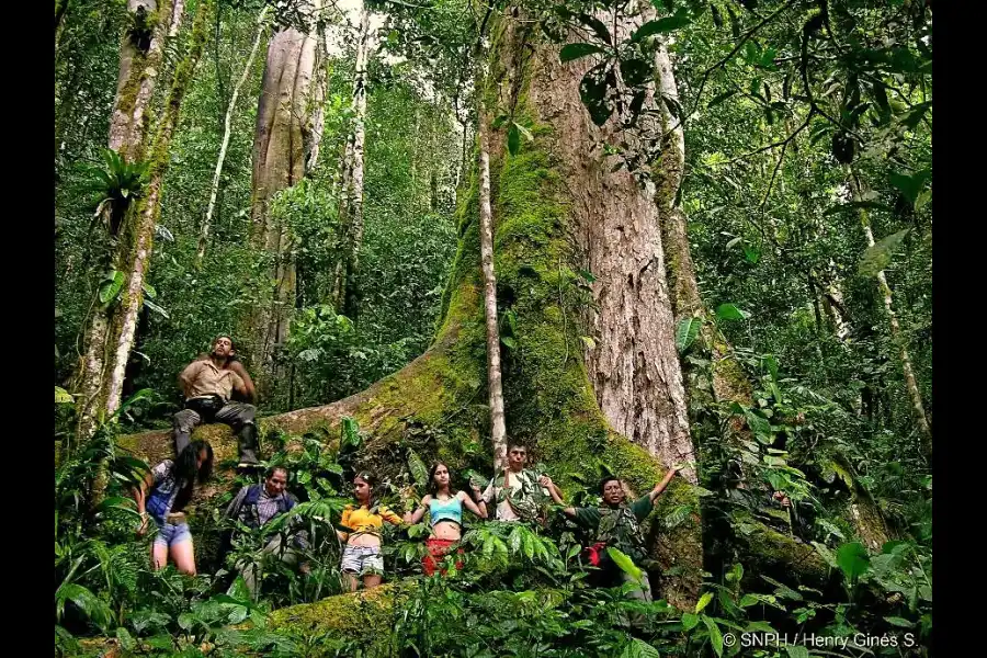 Imagen Santuario Nacional Pampa Hermosa - Imagen 1