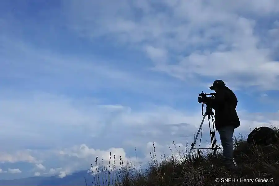 Imagen Santuario Nacional Pampa Hermosa - Imagen 24