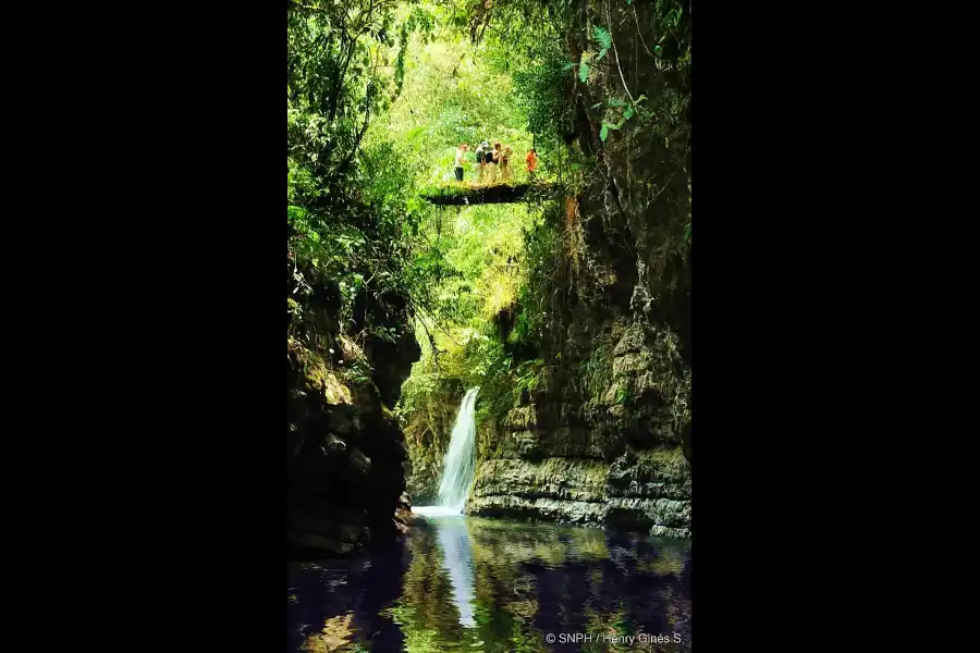 Imagen Santuario Nacional Pampa Hermosa - Imagen 3