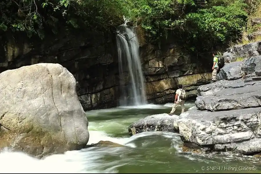 Imagen Santuario Nacional Pampa Hermosa - Imagen 4