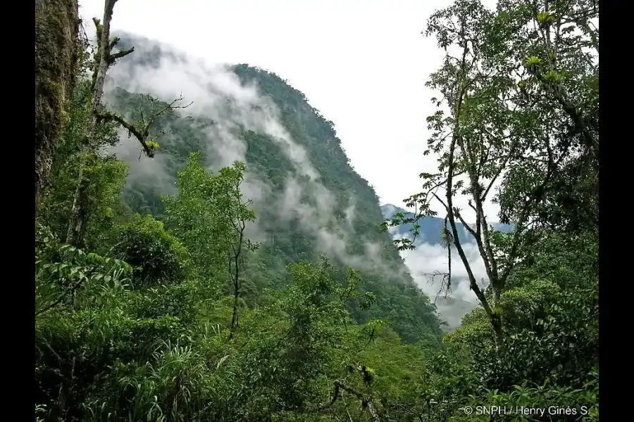 Imagen Santuario Nacional Pampa Hermosa - Imagen 5