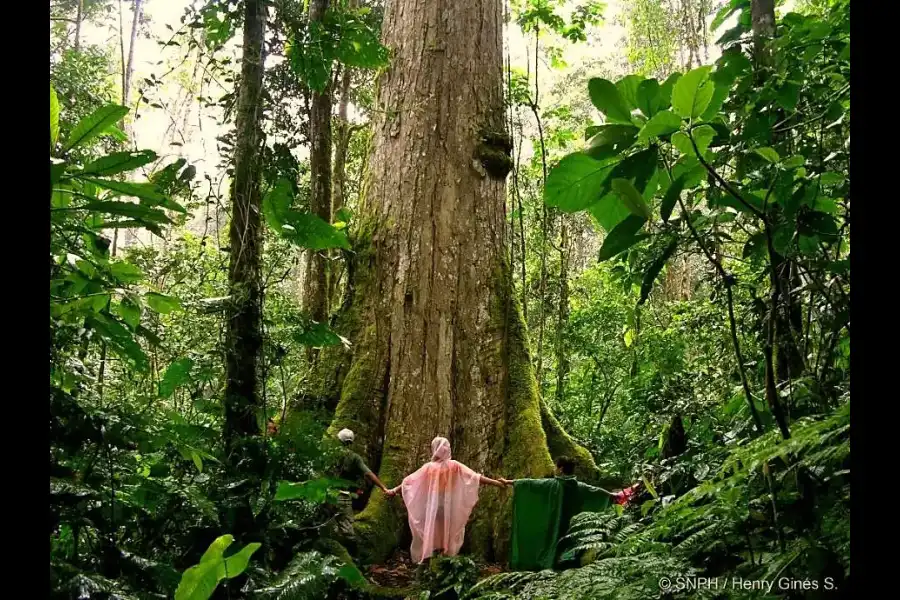 Imagen Santuario Nacional Pampa Hermosa - Imagen 6