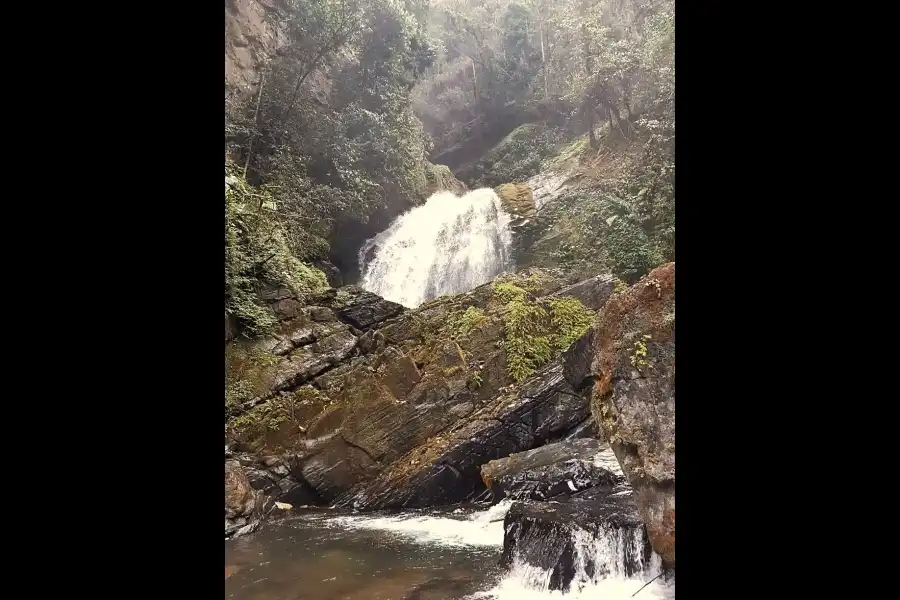 Imagen Santuario Nacional Pampa Hermosa - Imagen 7