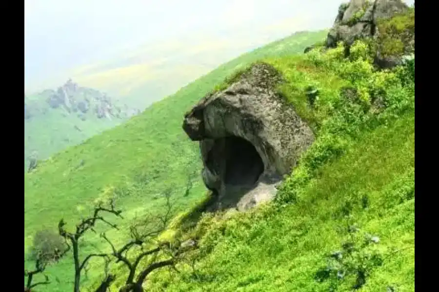 Imagen Reserva Nacional De Lachay - Imagen 1