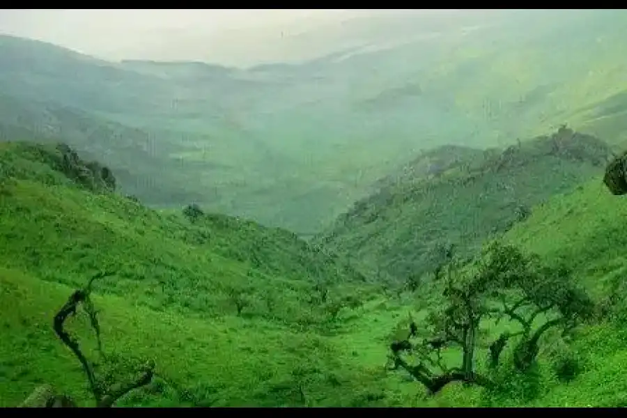 Imagen Reserva Nacional De Lachay - Imagen 3