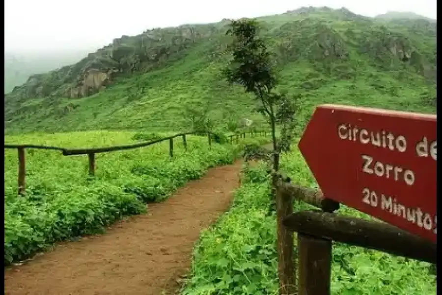 Imagen Reserva Nacional De Lachay - Imagen 4