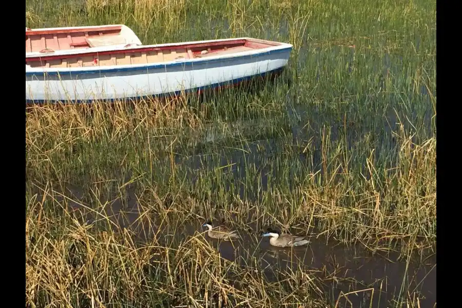 Imagen Islas Flotantes De Uros Titino - Imagen 5