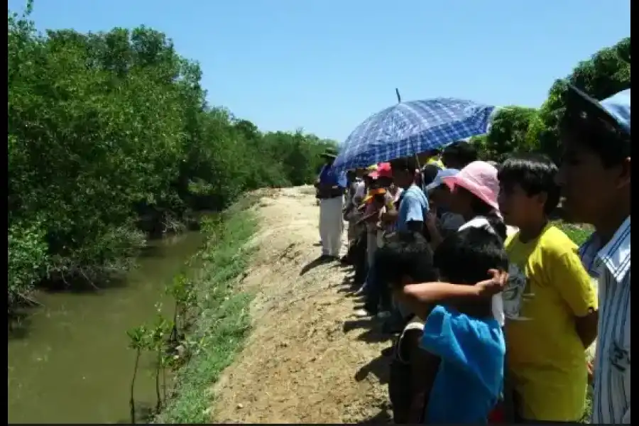 Imagen Estero La Chepa - Imagen 5