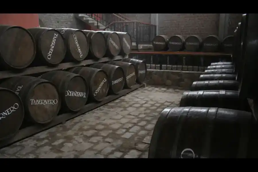 Imagen Bodega Tabernero - Imagen 6