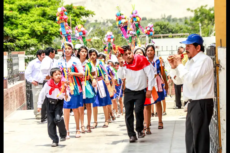 Imagen Danza Las Pallas De Lunahuaná - Imagen 1