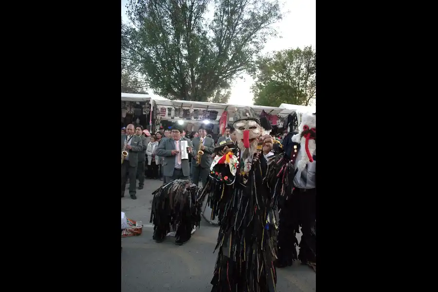 Imagen Danza De Los Avelinos De San Jerónimo De Tunán - Imagen 11