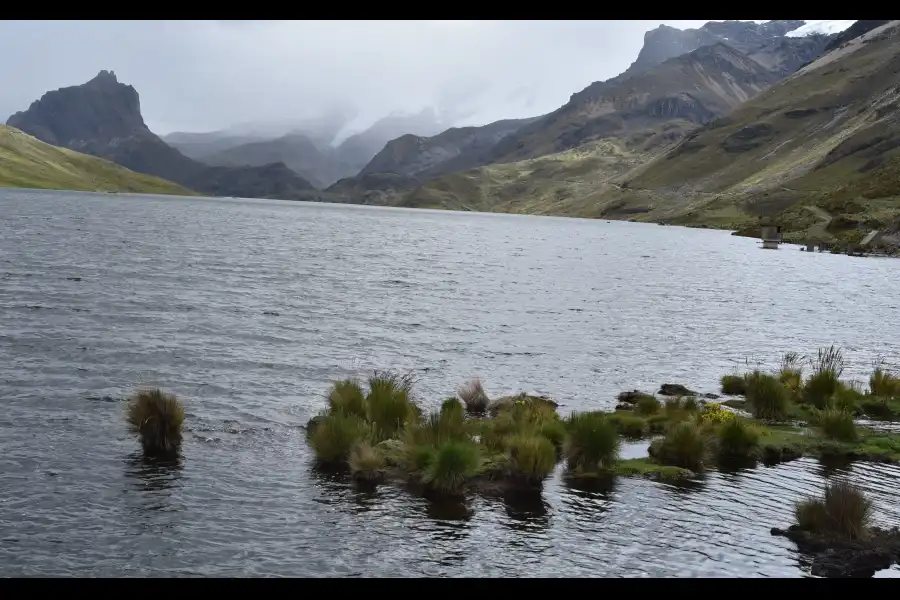 Imagen Laguna Surazaca - Imagen 4