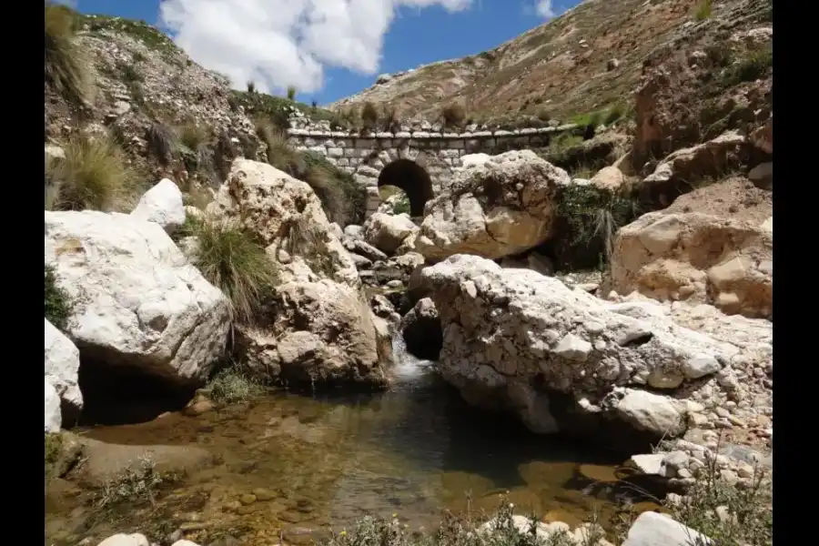 Imagen Puente Maracana - Imagen 2